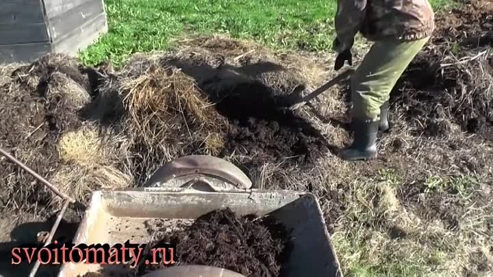 Какие удобрения нужно вносить в почву