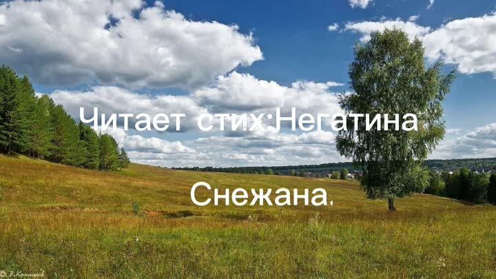 негатина снежана