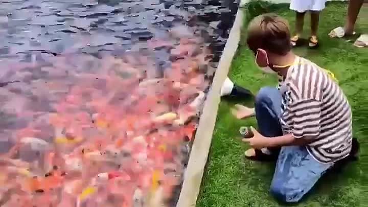 Ого, сколько рыбы!