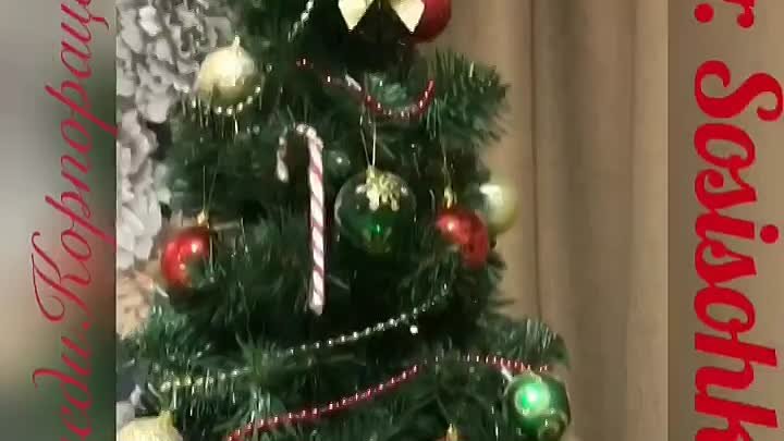 А вы нарядили елочку?) 🎄🎉🎅🏻