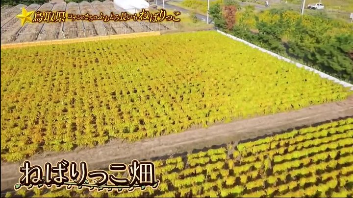 満天☆青空レストラン 動画　名探偵コナンの生みの親 | 2022年11月19日