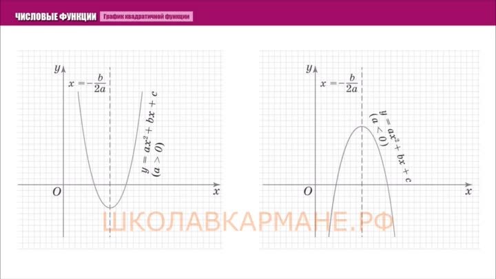 Видео от ШКОЛАВКАРМАНЕ.РФ - График квадратичной функции