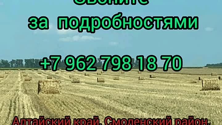 Трактористы в Агро-Сибирь