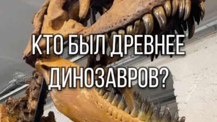 Кто был древнее динозавров?