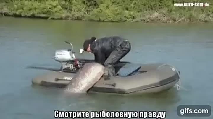 во как!