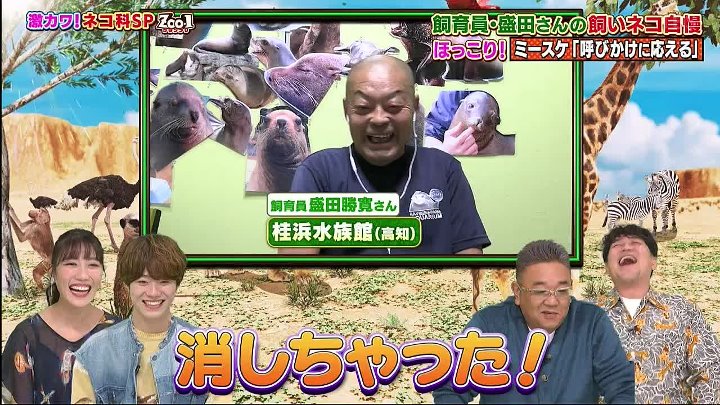 ZOO1グランプリ 動画 激カワ！ネコ科スペシャル | 2022年11月22日