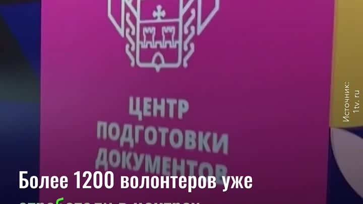 17 лет молодогвардейцы ЕР помогают стране