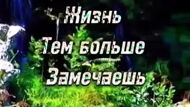 8 чем дальше жизнь тем больше красоту природы замечаешь