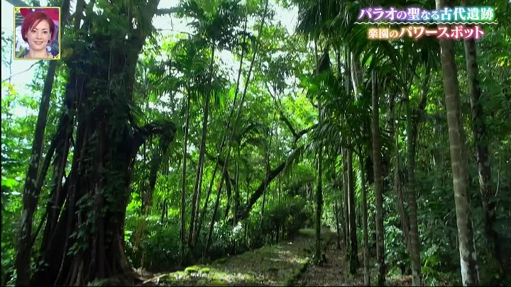 世界ふしぎ発見！ 動画 南の島でニッポン発見！ふしぎの楽園パラオ | 2023年1月14日