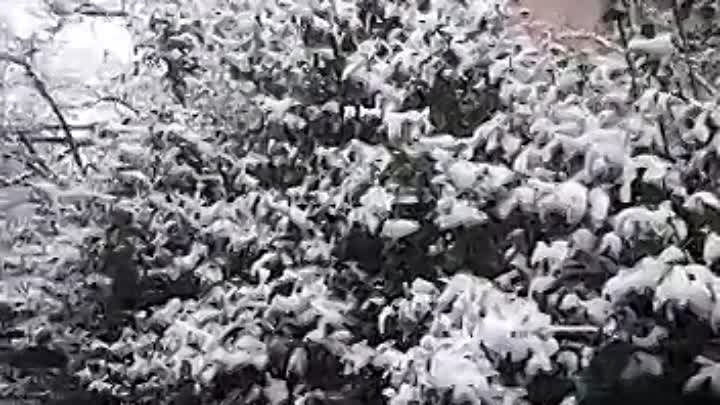 Снег в Рустави 09.01.2023