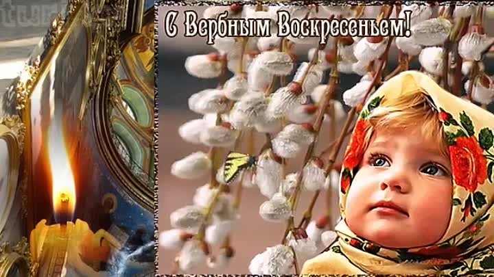 С праздником Вербного Воскресенья!