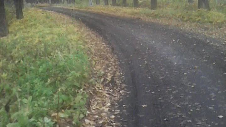 Бывшая военская часть села Медведь.октябрь 2017 год.