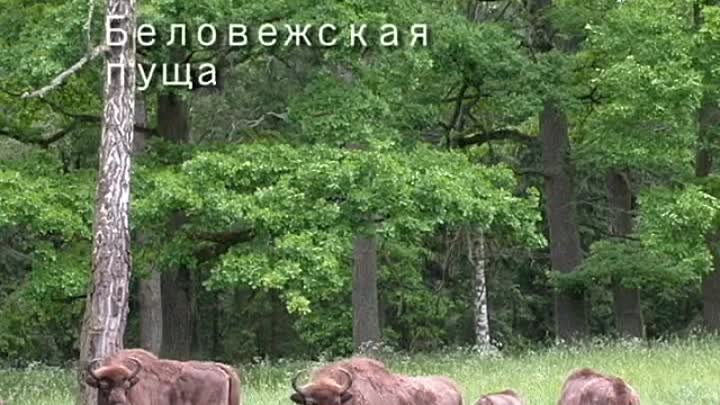 Топ 10 мест в Беларуси
