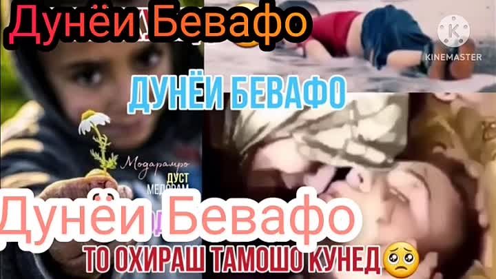 Дунёи Бевафо хит песни Шухрат Муминов 2023