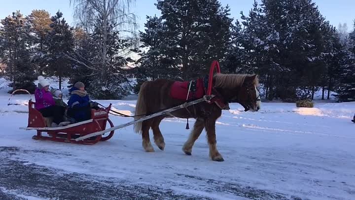 Народные гуляния в санатории Тараскуль 4.01.18г. Акции на путевки в  ...