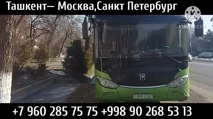 Ташкент Москва автобус#Ташкент Санкт-Петербург автобус