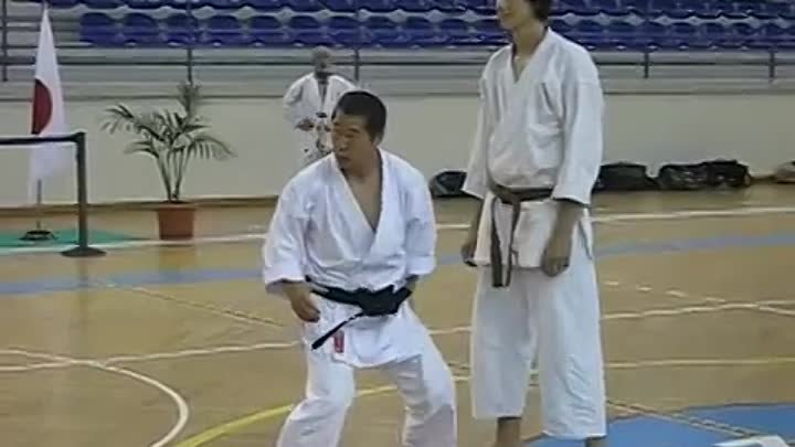 Kagawa-sensei demonstrating maegeri and Yokogeri Kekomi