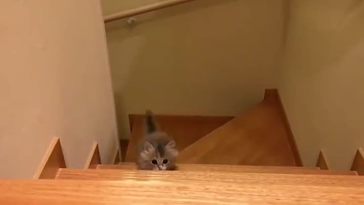 Мама, смотри! Я научился подниматься по лестнице.