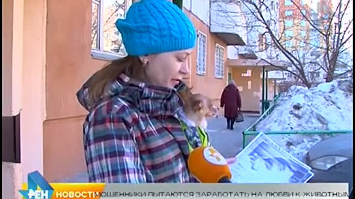 Зоозащитники против мошенников РЕН ТВ | Новости.Новосибирск