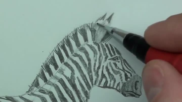 Как нарисовать зебру)… 