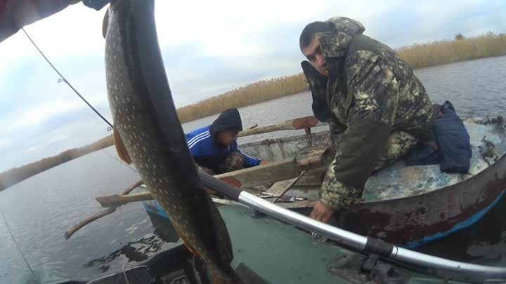 Рыбалка  на щуку - Ростовская область ноябрь 2017