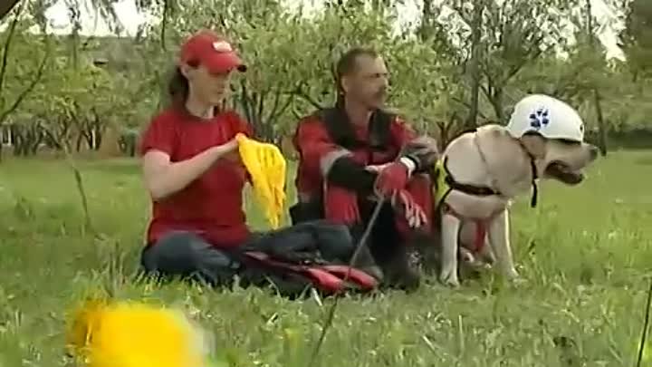 Dog-Channel TV - Видеопередача про Ромны МЧС, соревнования 2010