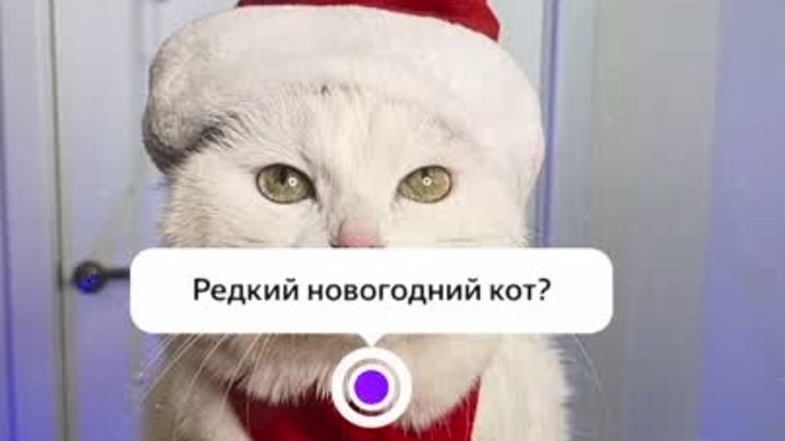 Что делать, если нет НГ настроения?