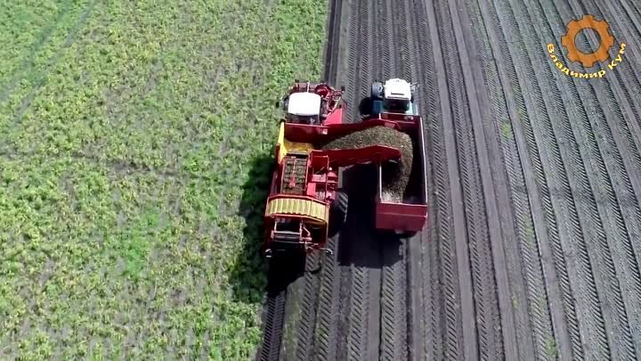 Как выращивают картошку в Германии