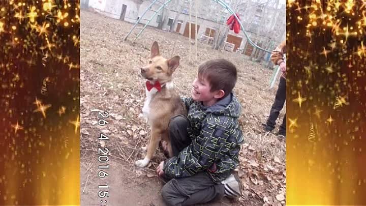 Дети ищут семью. Комсомольск-на-Амуре