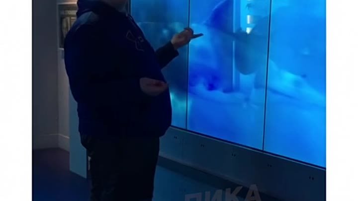 Виртуальный аквариум) 