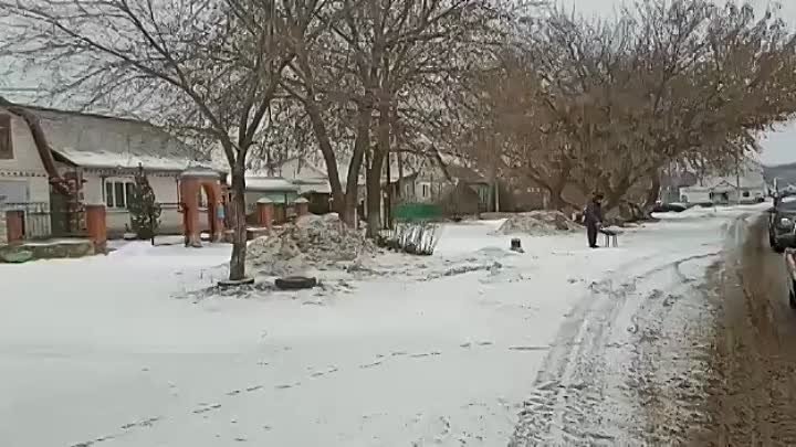 Белые голуби в честь празднования 80-летия Победы в Сталинградской битве