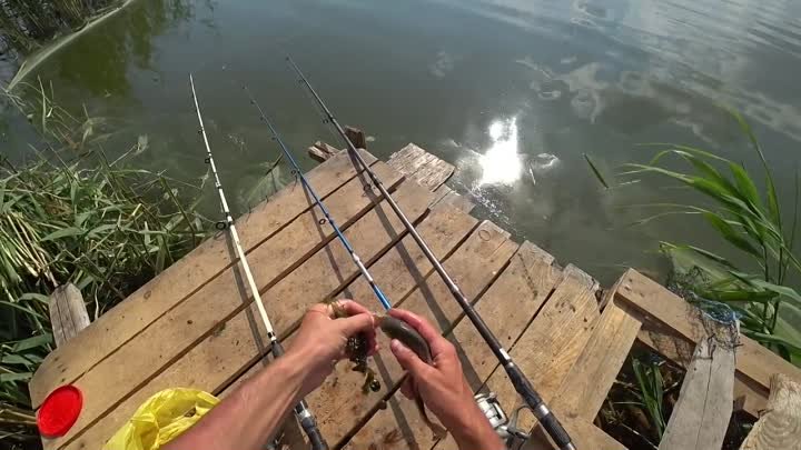 Простая рыбалка на карася. Карась клевал один за одним 