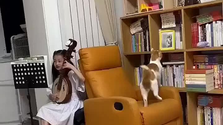 Играй, музыкант!