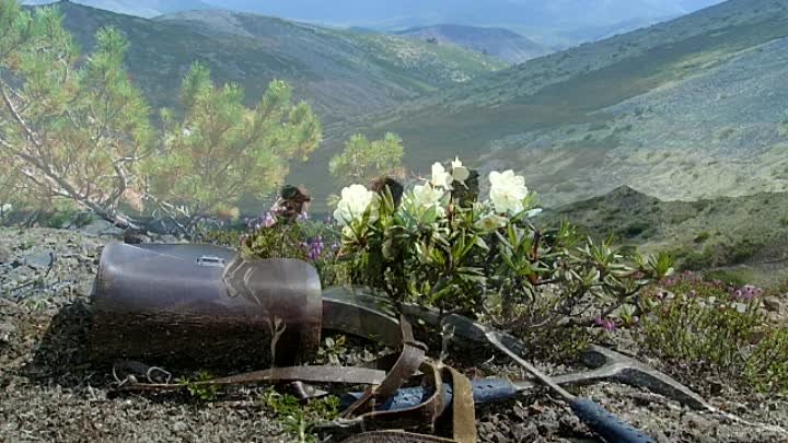 С днем Геолога