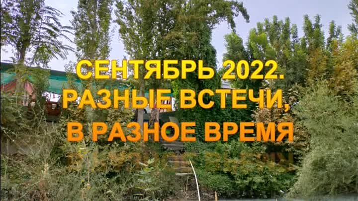 СЕНТЯБРЬ2022 РАЗНЫЕ ВСТРЕЧИ