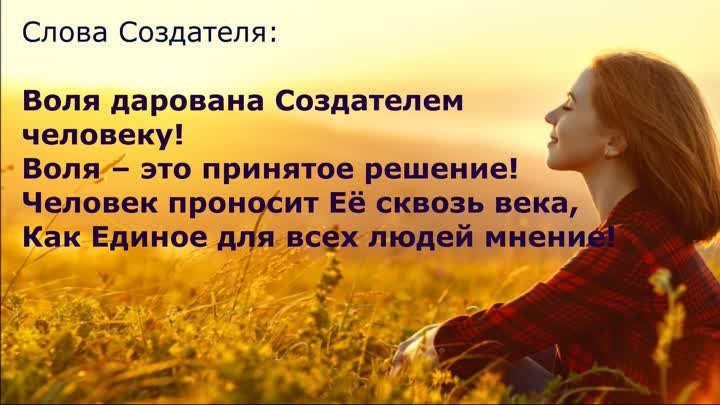 Создатель о Воле