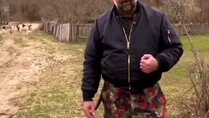 Прям как у людей🐑🐐Стадом баранов, управляет стадо козлов😳