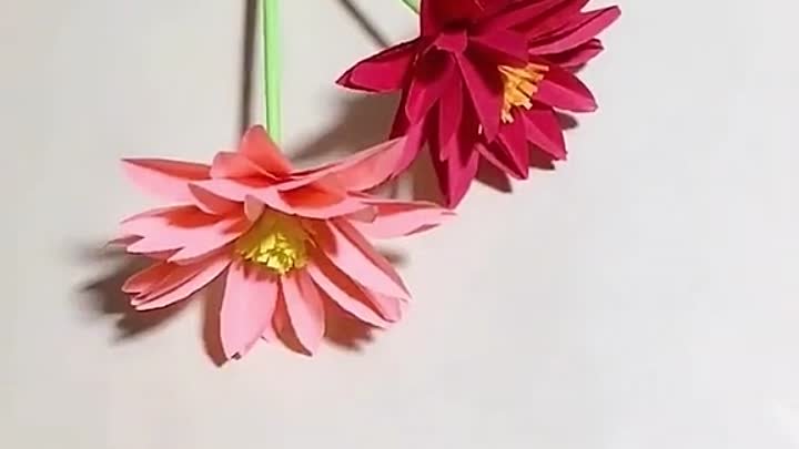 Цветы.mp4 (видео с интернета) 