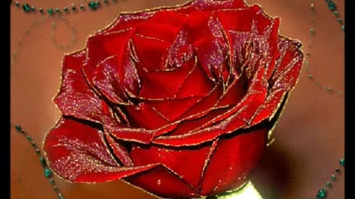 Красные и Бордовые Розы