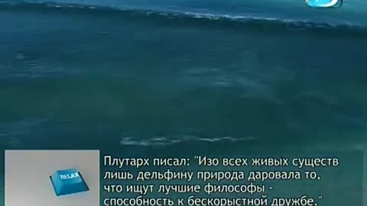 Ocean TV (Relax)