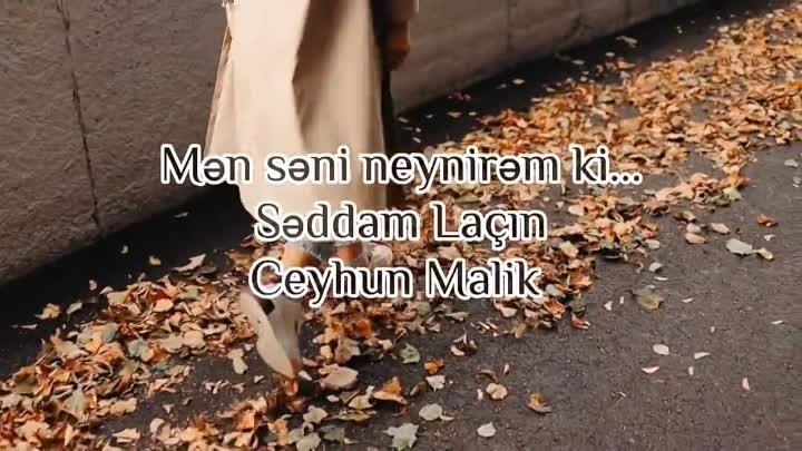 _sevirəm _poeziya _seddamm92(video0).mp4