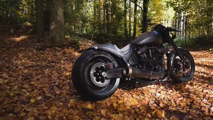 ⚡️ FLASH #Harley-Davidson® #Softail #FXDR 114 Kampfjet by Cult-Werk