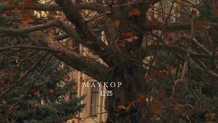 майкоп3