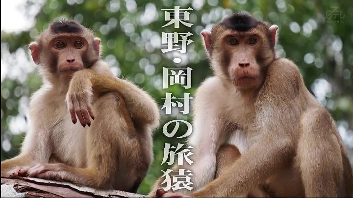 東野・岡村の旅猿22 動画 持田香織&ベッキーと新年会の旅 | 2023年2月8日