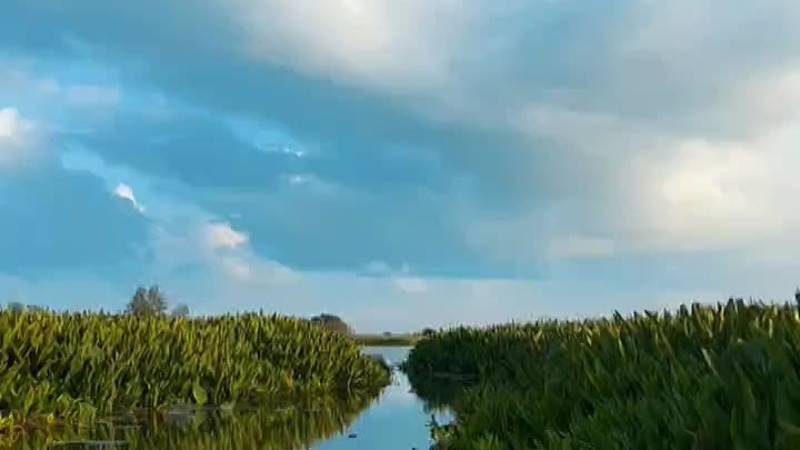 Таиланд  Озеро Тхале Ной