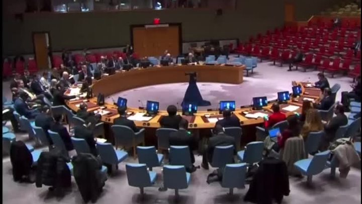 Дмитрий ВАСИЛЕЦ выступил в ООН и обвинил Зеленского в ТЕРР0РЕ против ...