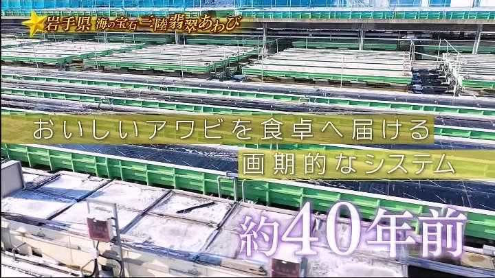 満天☆青空レストラン 動画 宮川大輔が美味しい食材を求めて日本全国を飛び回る! | 2023年2月11日