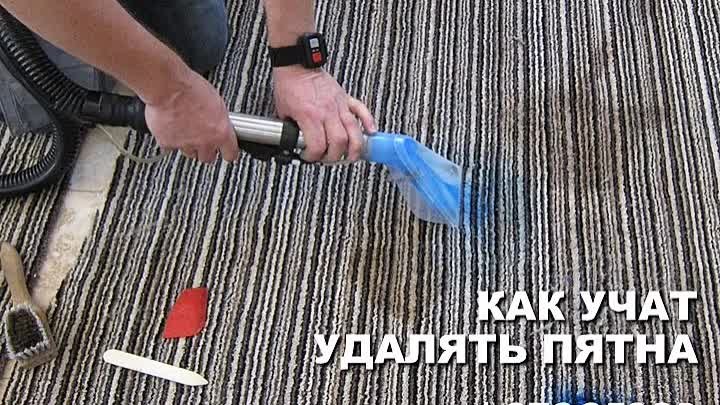 Как учат удалять пятна с ковров и обивки