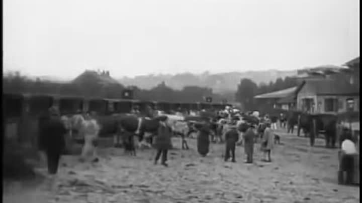 Marché aux boeufs, I (1897)