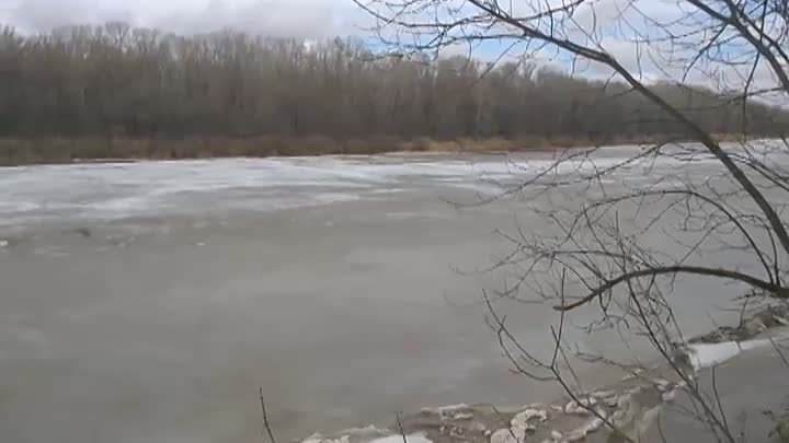 На реке Урал тронулся лед